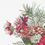 Thumbnail: Closeup of illustration of red dahlias and green pine needles