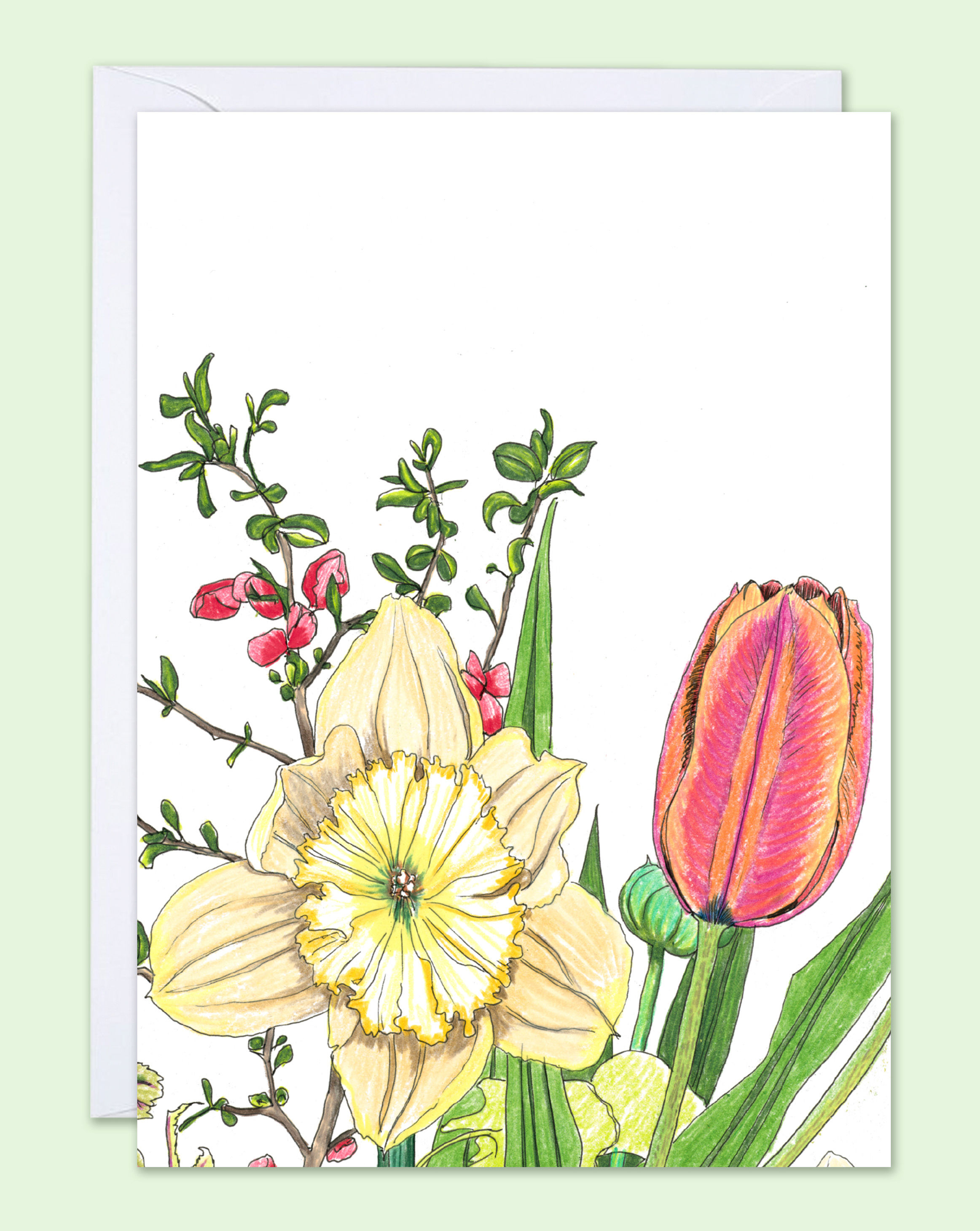 Greeting card illustrated with daffodils and tulips against green backdrop