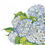 Thumbnail: Closeup of illustration of blue hydrangea blossoms