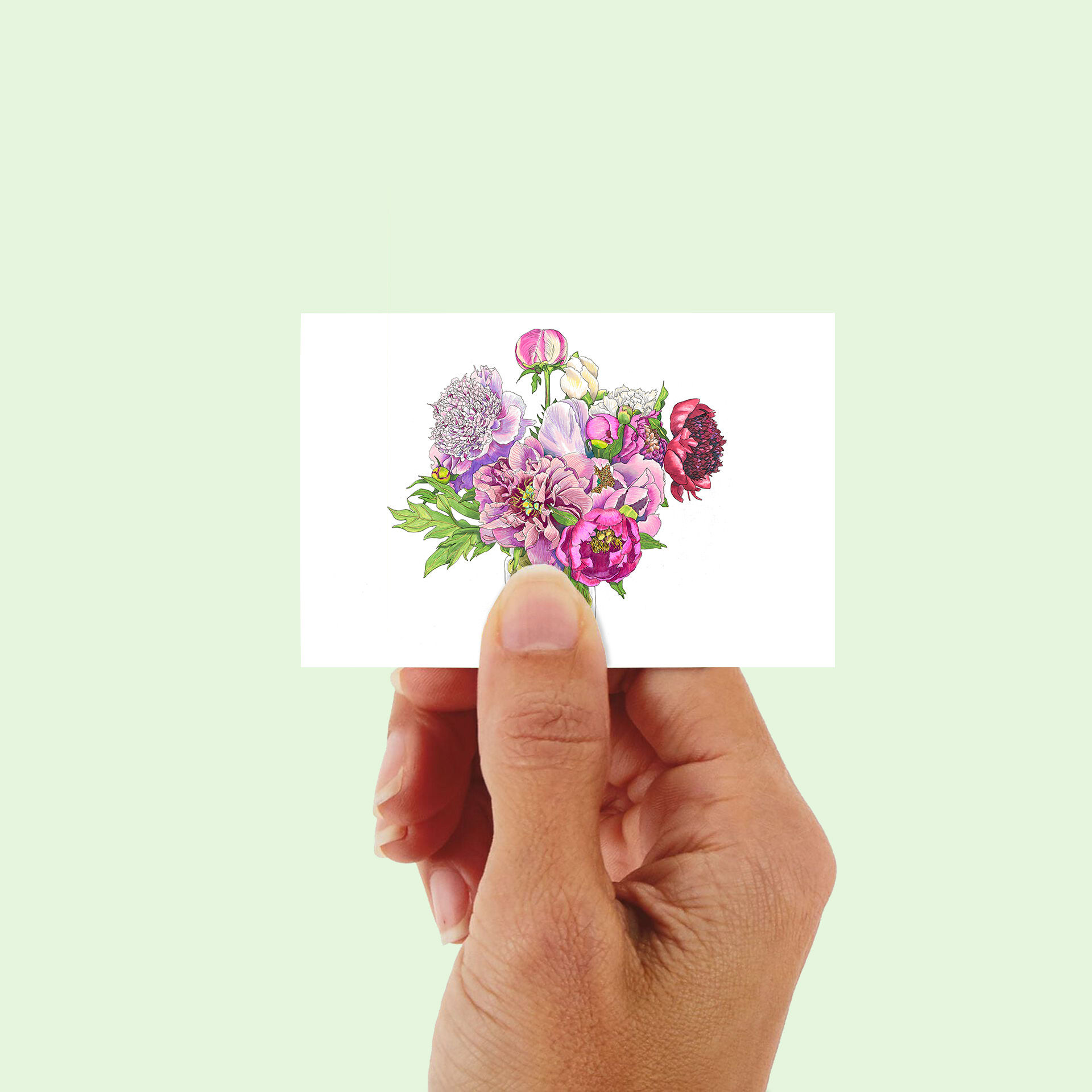 Gift enclosure card illustrated with Albert Crouse, Honey Gold, Sea Shell, Felix Supreme, Julia Rose, White Ivory, Ellen Cowl