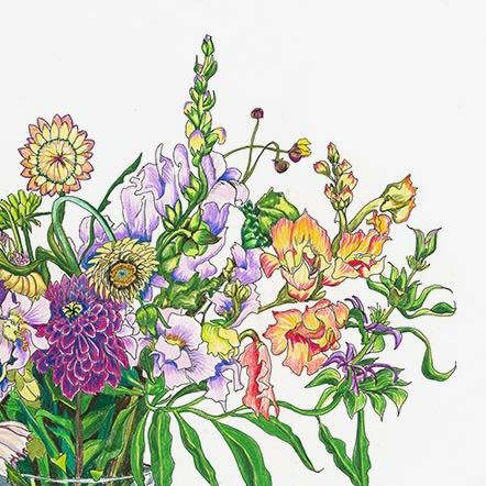 Closeup of illustration of Snapdragon, Black-Eyed Susan, Strawflower, Dahlia, Thistle, Queen Anne’s Lace, and Aster