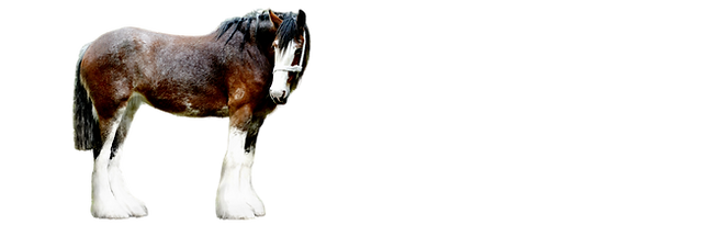 Copy of New Wider Sabella Farms Banners (1215 × 405 px) (91).png