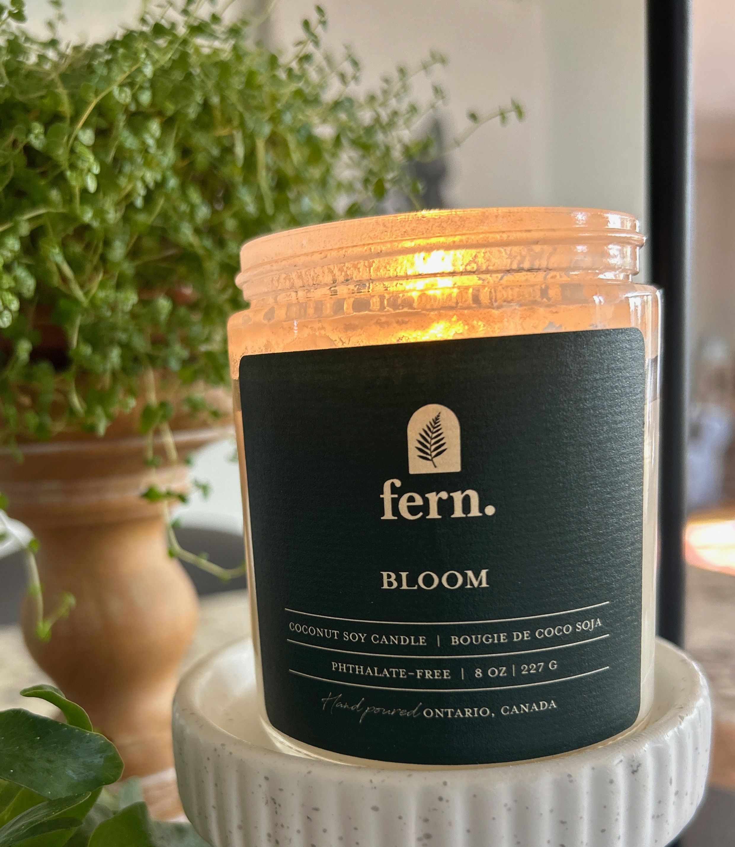 Bloom Candle, by Fern.
