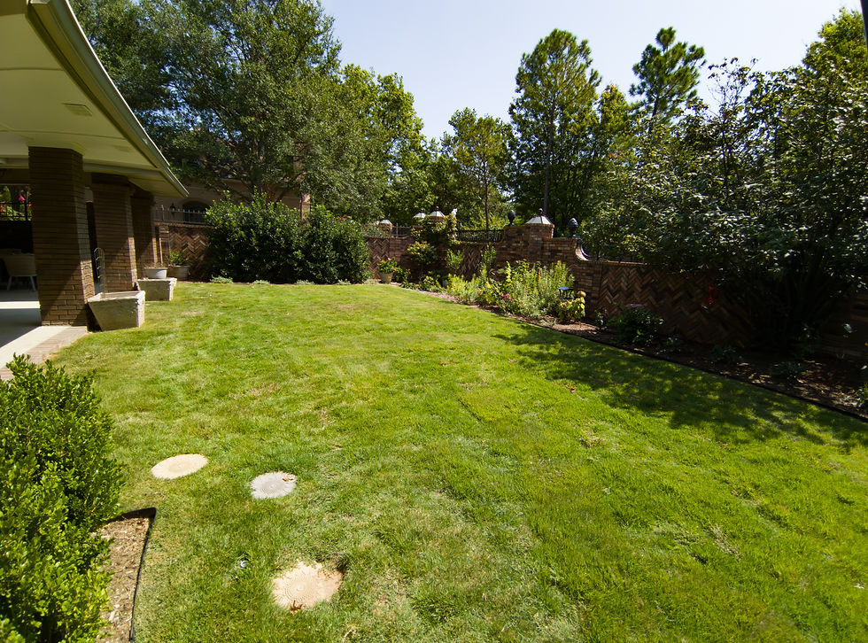 ellencook filloneyearedited-13.jpg