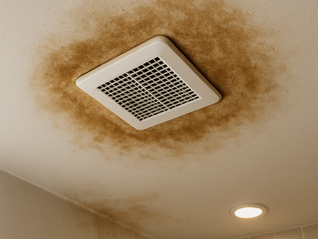 ceiling stains