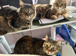 Flora Jada and Mimi