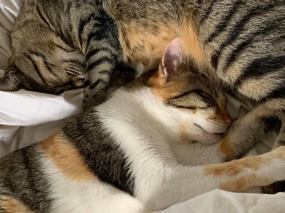 Freya and Nooka