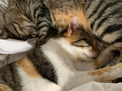 Freya and Nooka