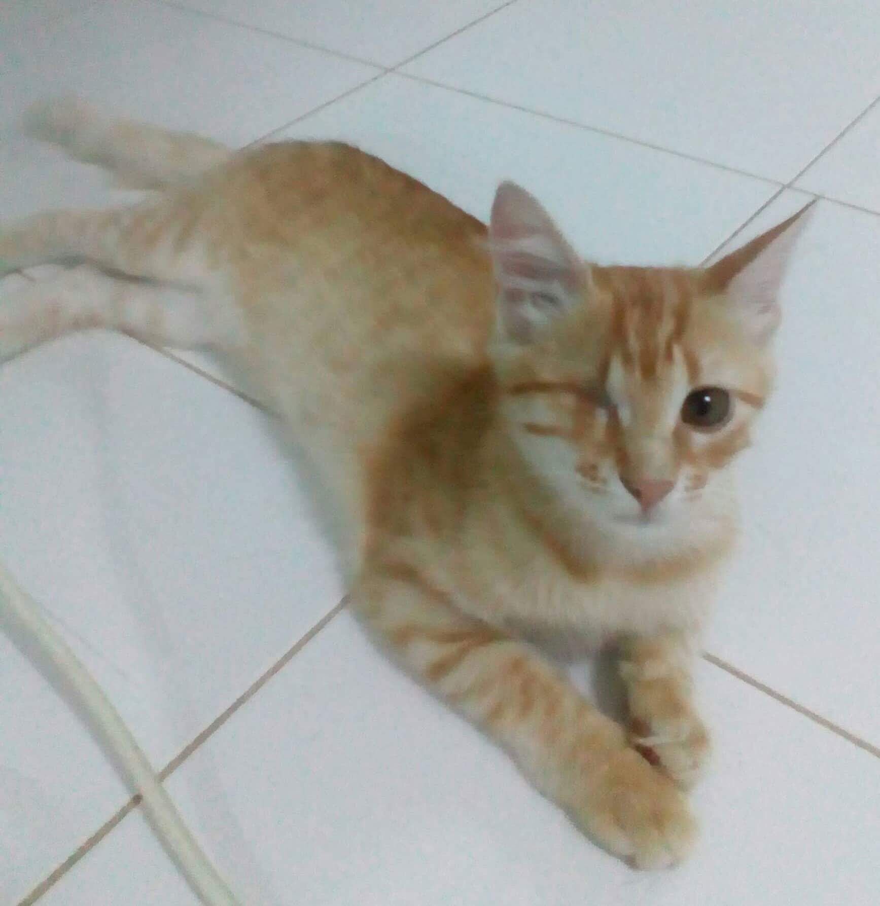 Luna