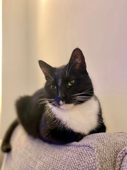 Otis by LUcy