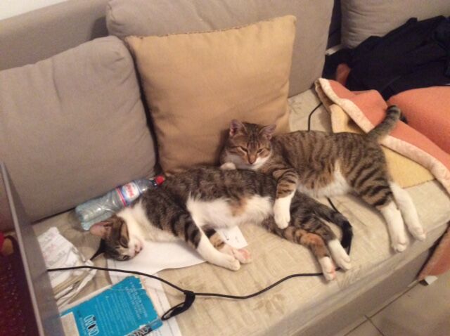 PETIT AND WHODINI