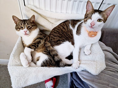 Wilf and Mimo from Katie.jpeg