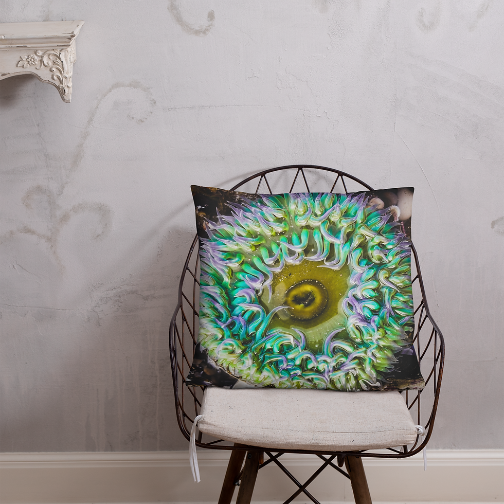 Pillow (Bright Anemone)
