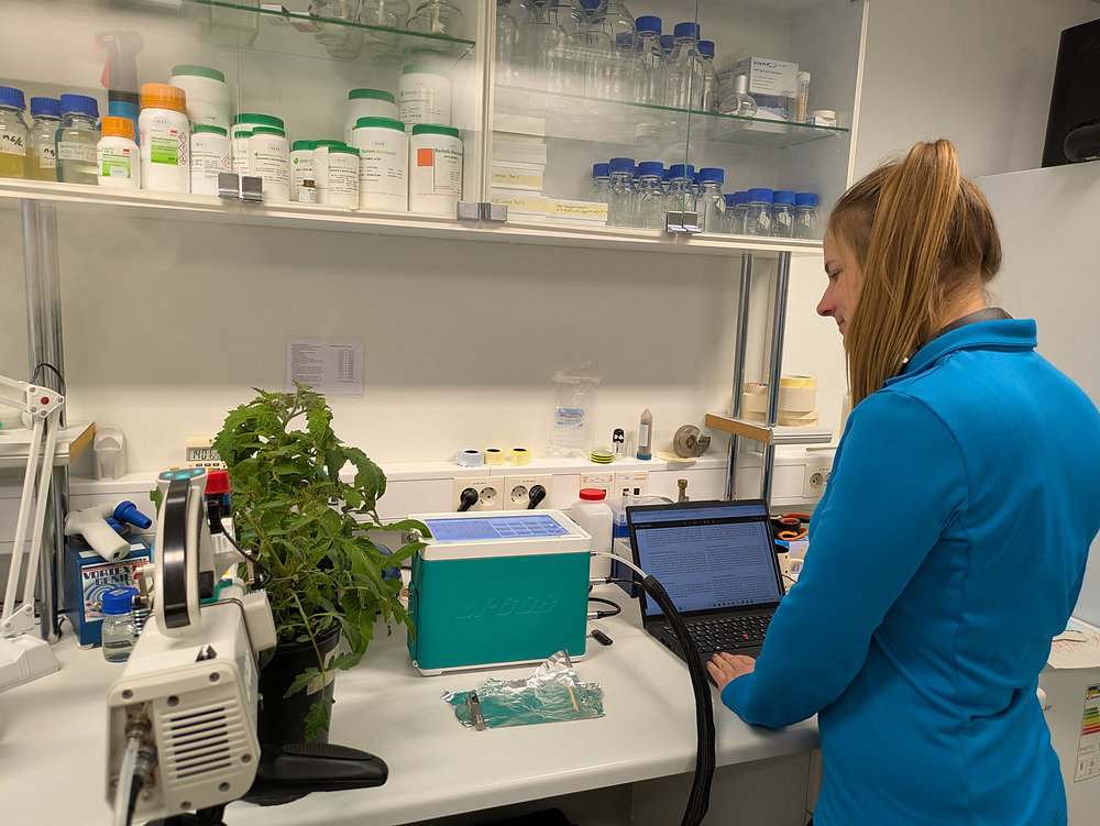 Juulis 2025 lisandusid TAIM taristu seadmeparki Tartu Ülikoolis kaks mobiilset lehe gaasivahetuse mõõtmist võimaldavat süsteemi (LI-6800, LI-COR). Seadmed on os