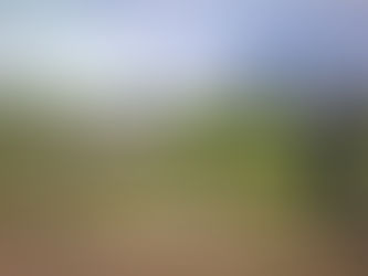 Eesti Taimekasvatuse Instituudis analüüsitakse sellest hooajast põlde ka drooni abil