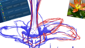 3D Digital Literacy (Assignment 1-Pre Production Week 4)