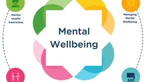 Professional Practice (Week 5+6)