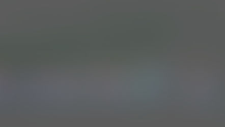 Animation Strategies (Week 3)