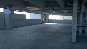 Animation Strategies (Week 2)