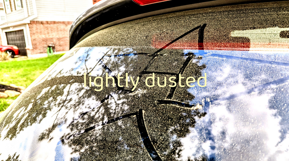 Car Care Guide Houston TX