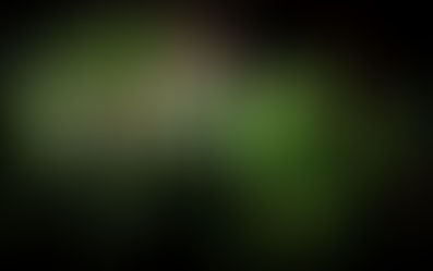 Die heilsamen Kräfte der Küchenkräuter Petersilie, Dill & Schnittlauch