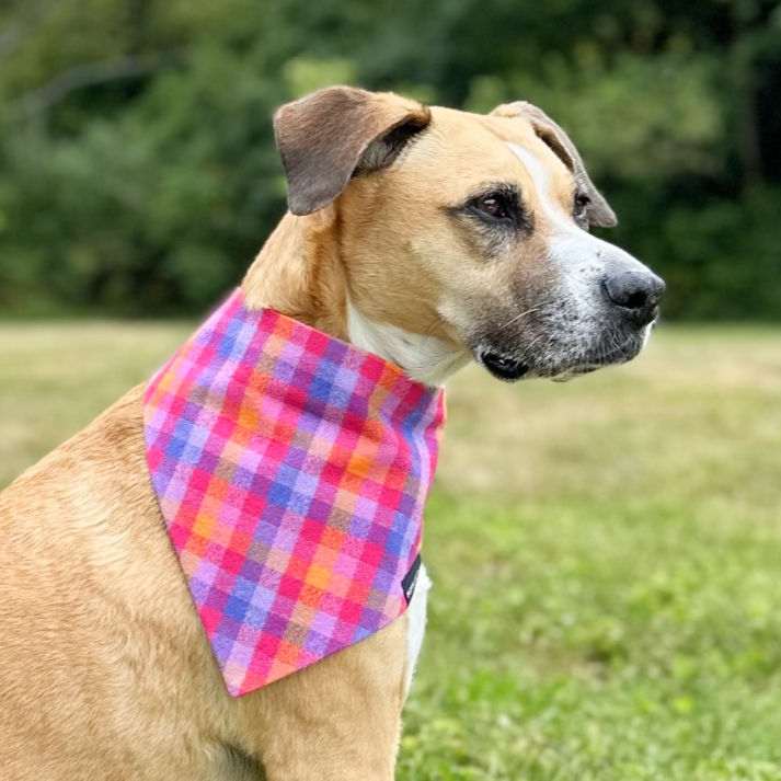 Thumbnail: Lupine Flannel