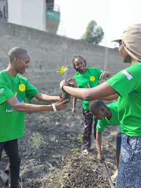 A group of people planting trees