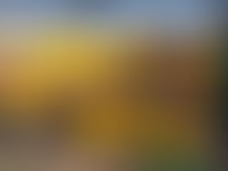 100% Division One in Agago, 2025