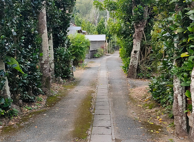 植物染料 | 藤崎紅型工房