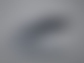 Our celebrity humpback whales