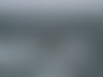 Whale watching boat impact on whale surface behaviour