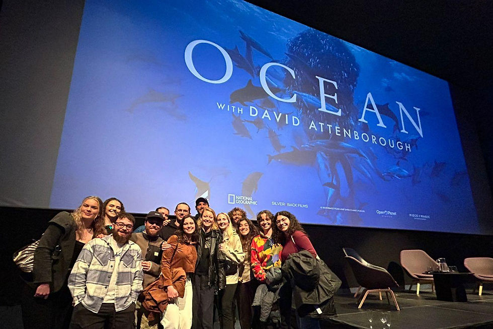 Image 4: our guide team at Iceland's premier of David Attenborough's "Ocean" documentary!