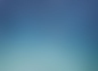 The snow falling at the bottom of the sea, Picture from Marine madness