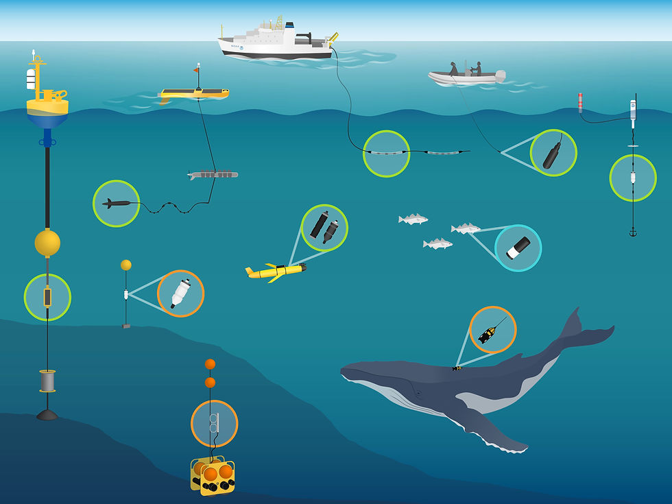 Image 1: visualisation of types of hydrophones with archival passive acoustic recordings in orange and real-time passive acoustic data collection in green. source: NOAA fisheries