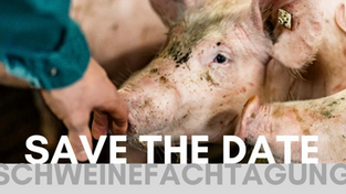 28.10.2025, Schweinefachtagung 2025 - Praxis Dr. Pabst lädt ein, Dülmen