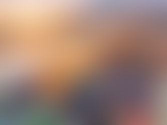 India’s Export Potential in Mink Blanket