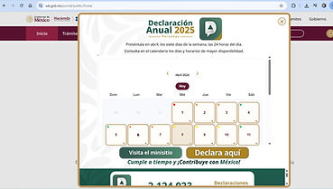Pagina SAT