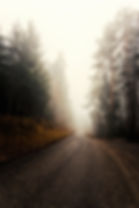 cold-daylight-fog-1624505.jpg