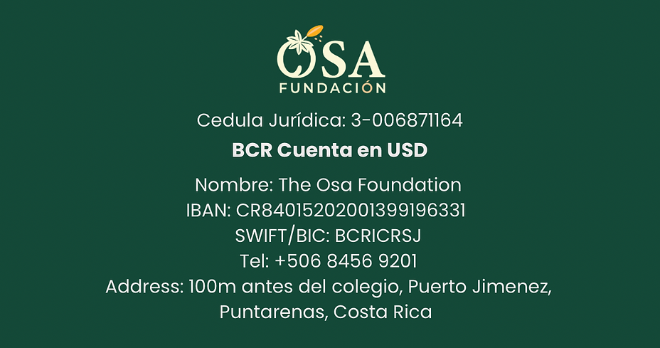 Osa foundation.png