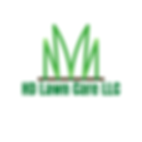 HD Lawn Care LLC Logo.png