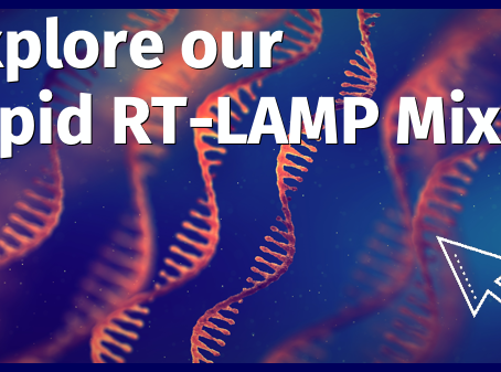 Rapid RNA detection – now more accessible than ever