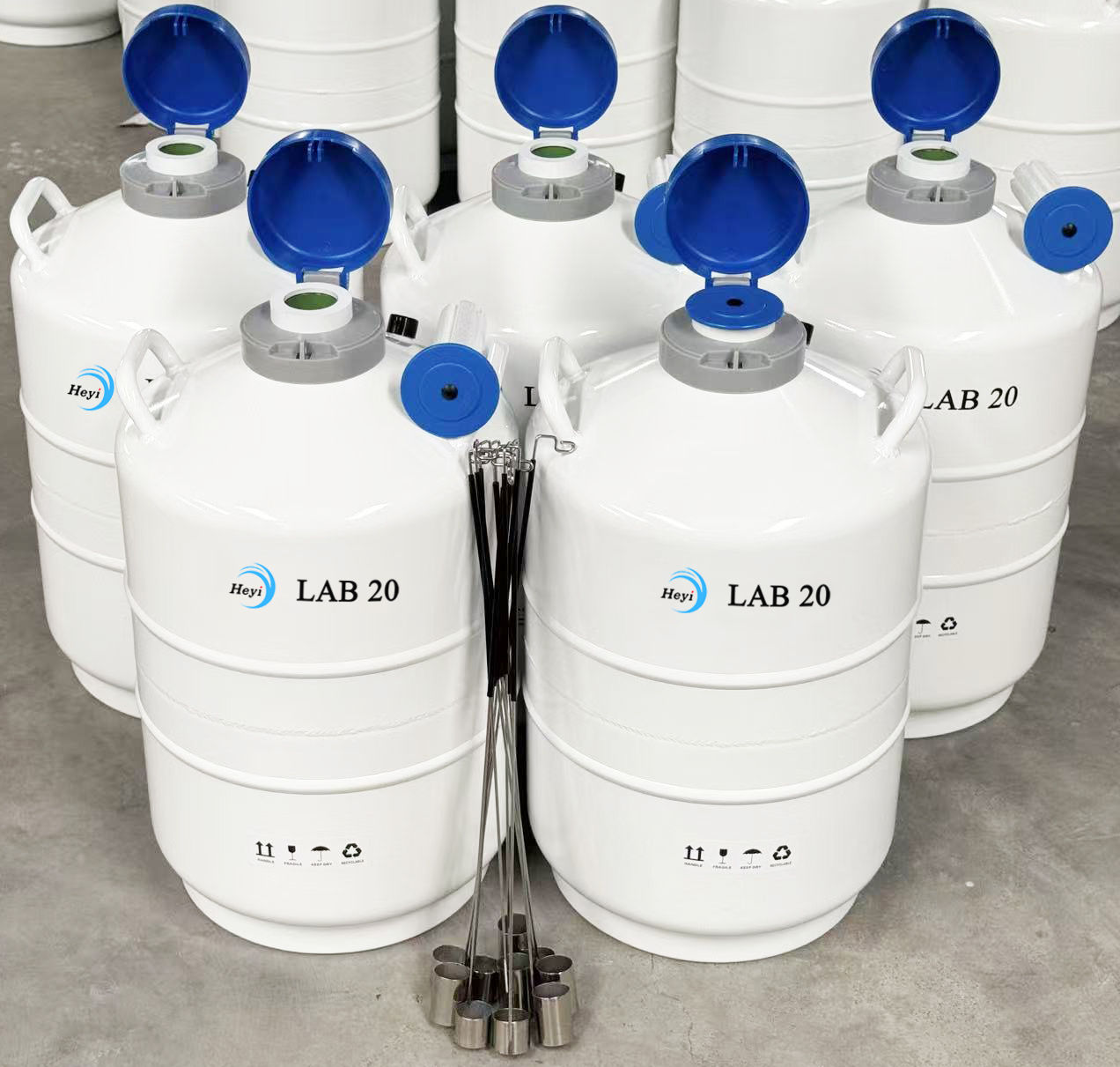 LAB 20
