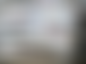 The Panoptes system uses decoy cyclic nucleotides to defend against phage.