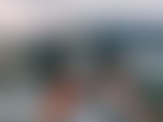 All You Need to Know About the Provincial Nominee Program