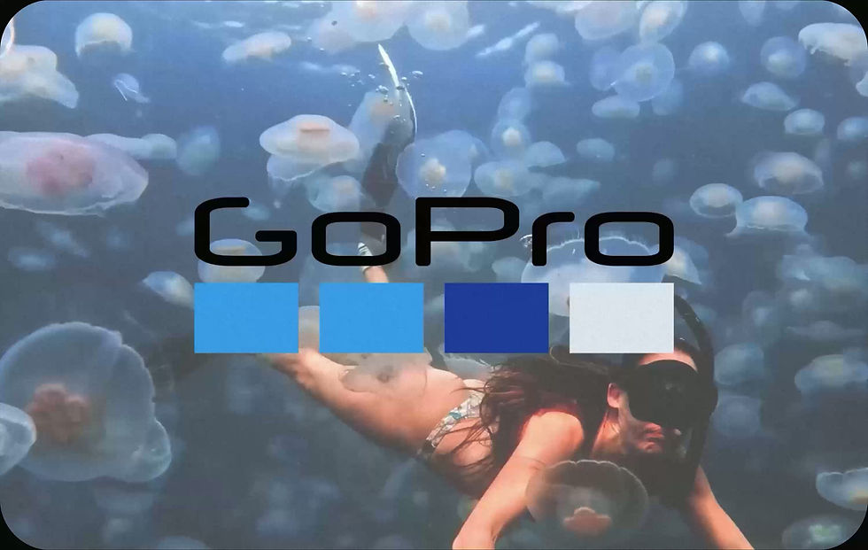 GoPro Motion Tile 101010.mp4