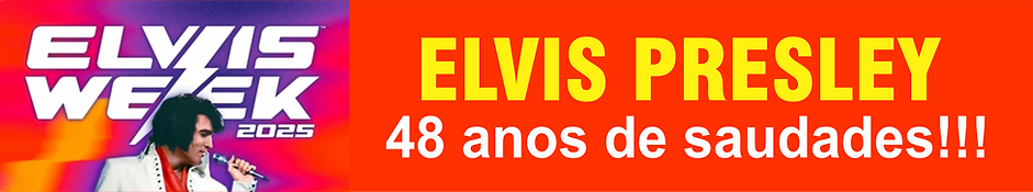 2323232.png