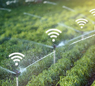 LoRaWAN_UseCaseEbook_SmartAg_Thumb_360x220_(1).jpeg