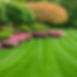 lawn maintenance.jpg
