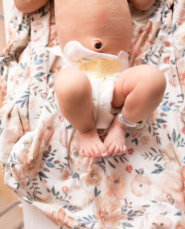 fresh 48 rockville maryland photographer newborn photographer gaithersburg