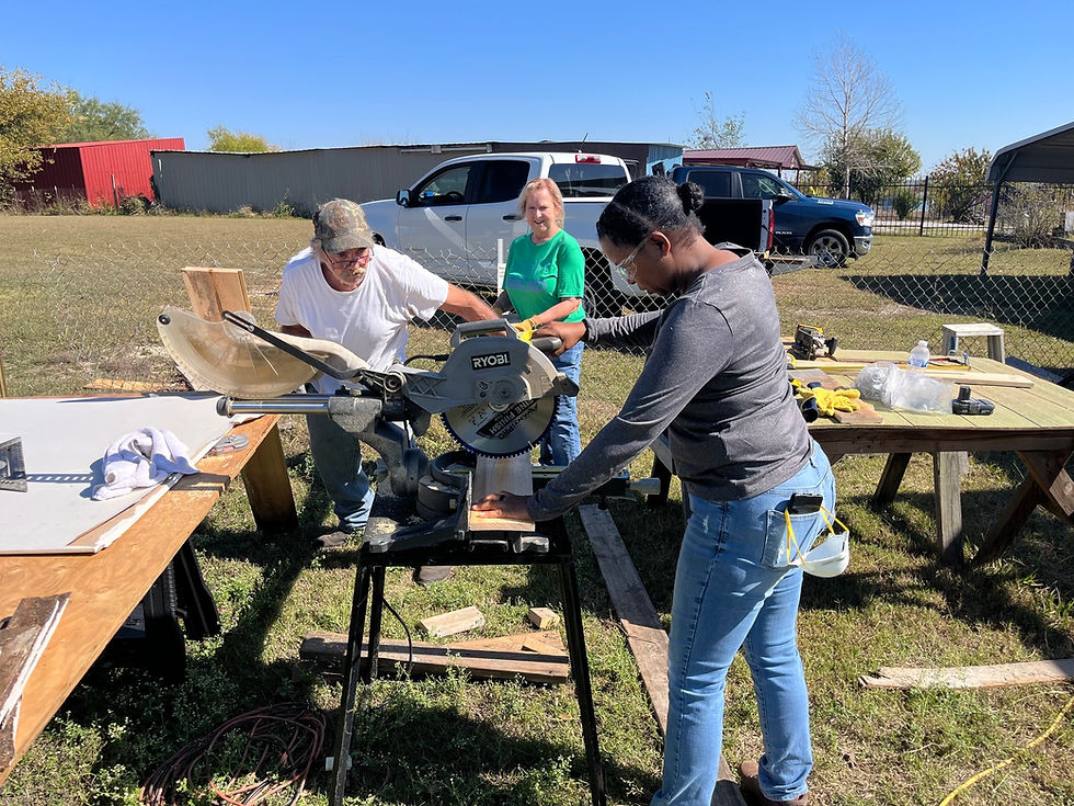 Venus Brush with Kindness